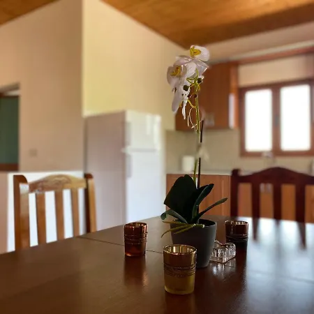 Boem Villa's Apartment Lezhe
